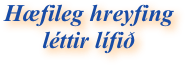 Hæfileg hreyfing 
léttir lífið