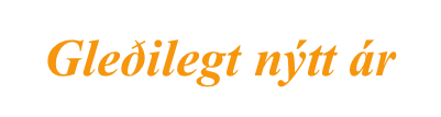Gleðilegt nýtt ár